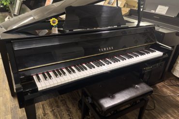 🌸春のスタート応援キャンペーン・開催大幅値下げ🌸